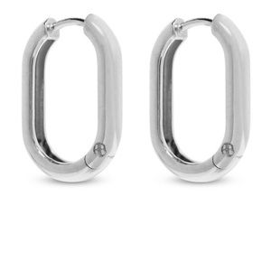 Anine bing oval hoops